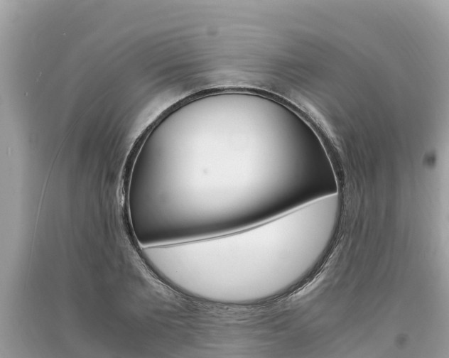 X0000094180885200710260929