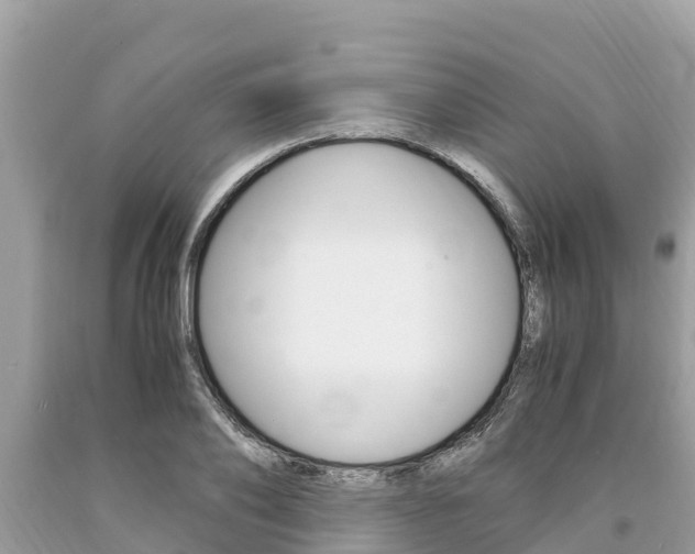 X0000094180886200710260929