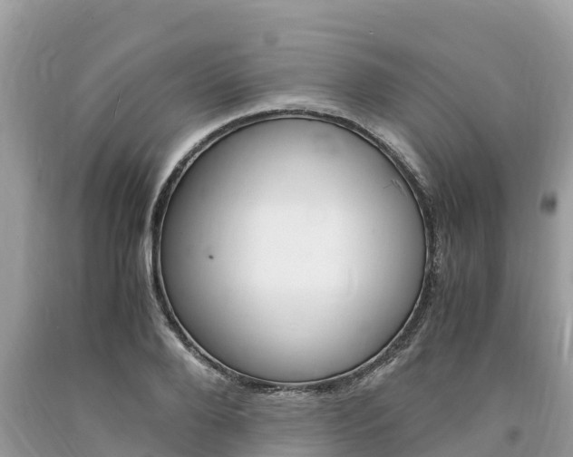 X0000094180888200710260929