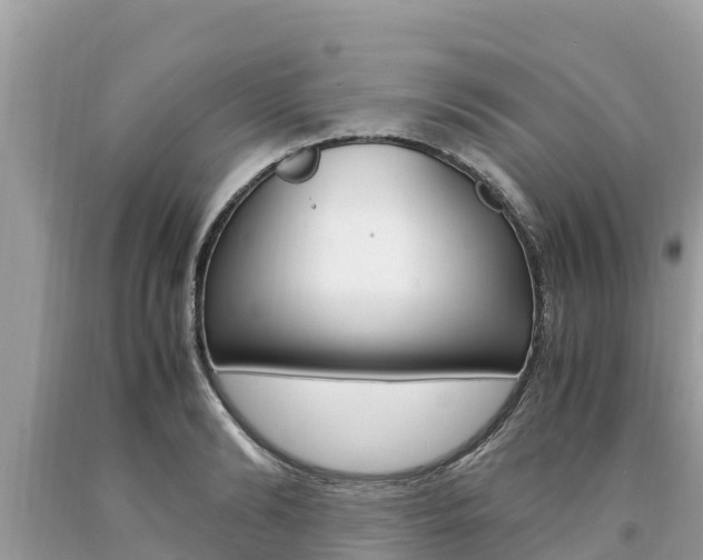 X0000094180894200710260929