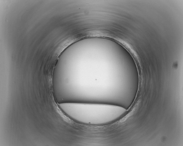 X0000094180897200710260929