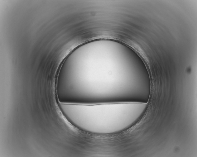 X0000094180898200710260929