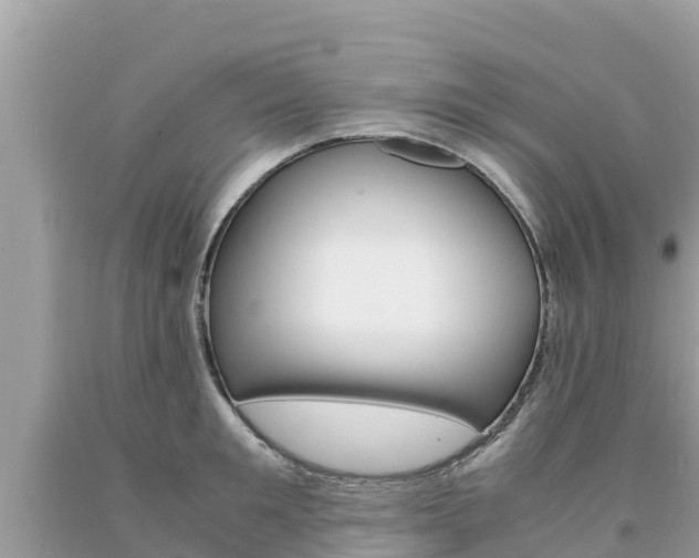 X0000094180901200710260929