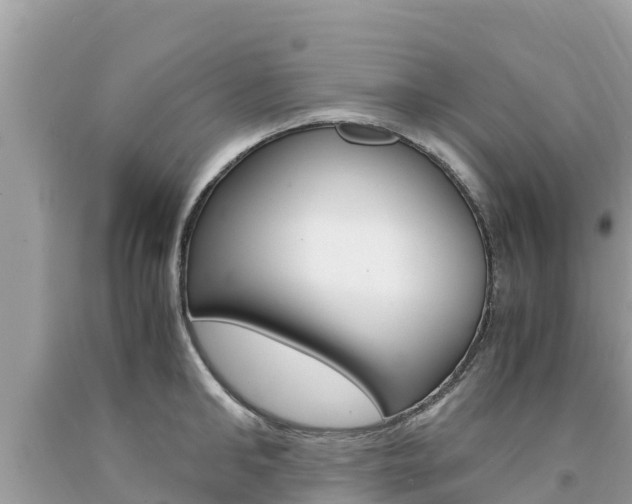 X0000094180902200710260929