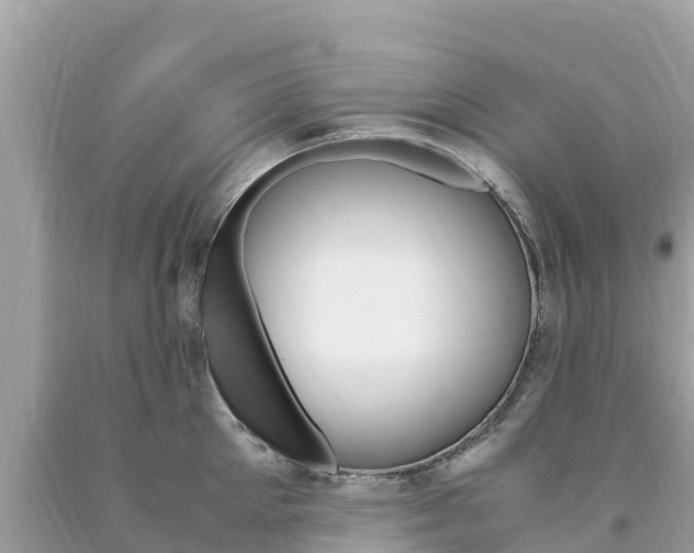 X0000094180905200710260929