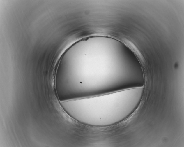 X0000094180908200710260929
