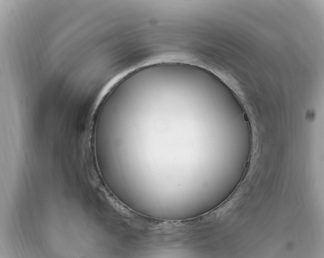 X0000094180912200710260929