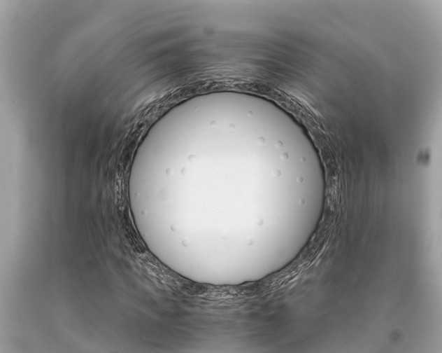 X0000094180917200710260928