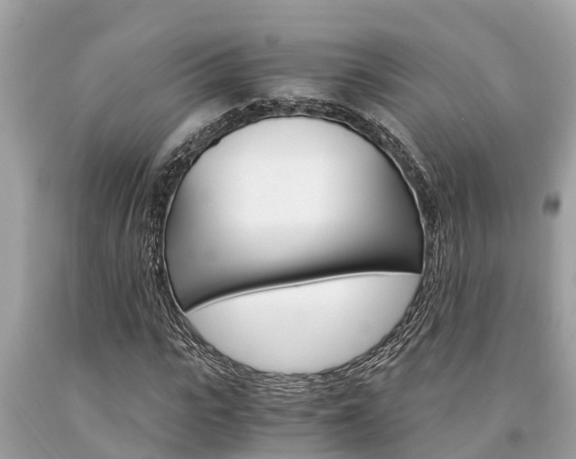 X0000094180919200710260928