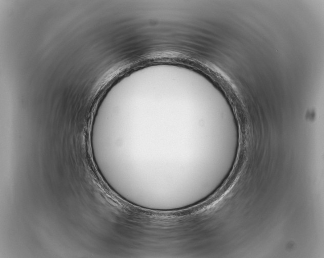 X0000094180921200710260928