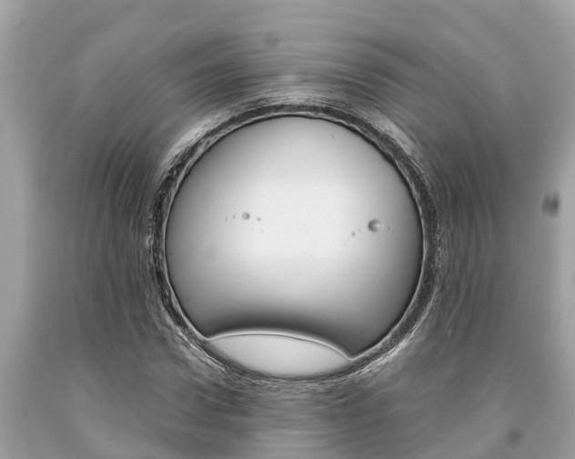 X0000094180922200710260928