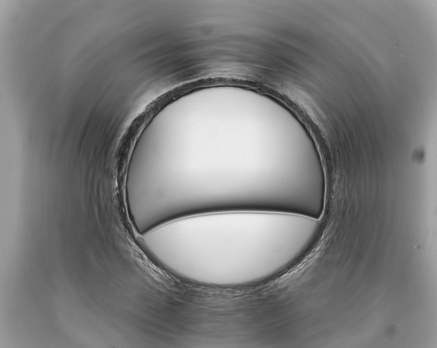 X0000094180923200710260928