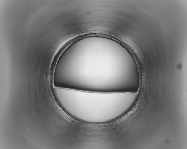 X0000094180924200710260928