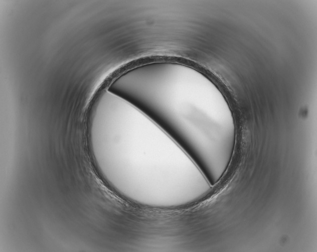 X0000094180926200710260928