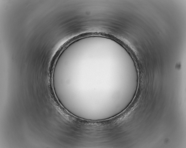 X0000094180927200710260928