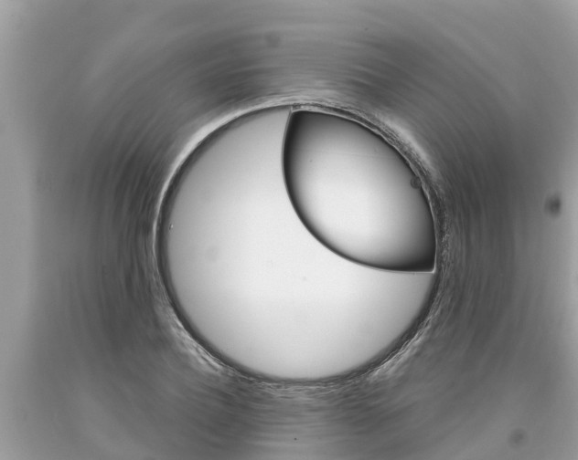 X0000094180932200710260928