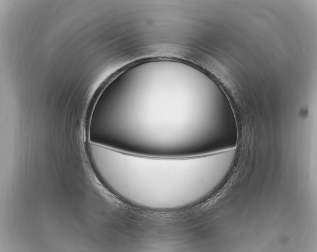 X0000094180936200710260928