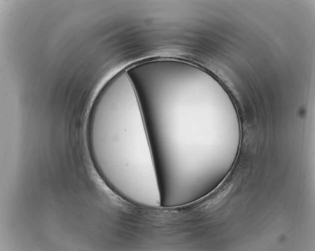 X0000094180939200710260929