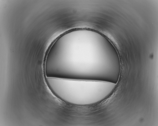 X0000094180943200710260929