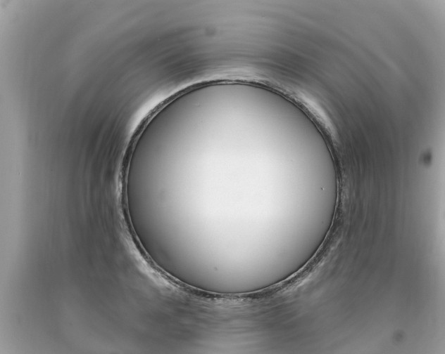 X0000094180944200710260929
