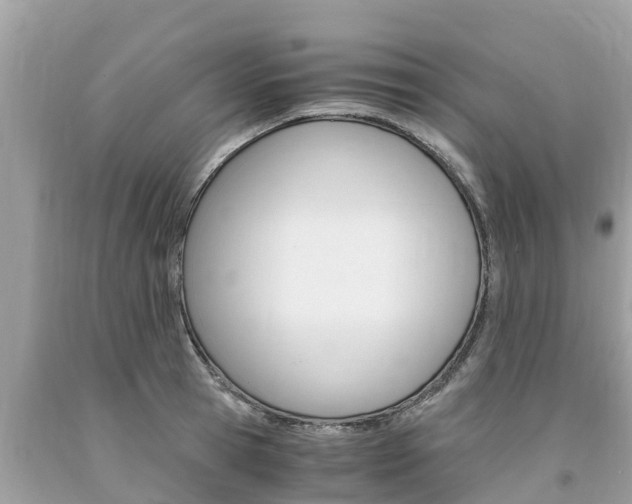 X0000094180945200710260929