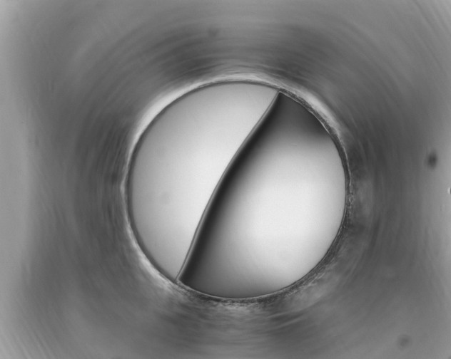X0000094180951200710260929