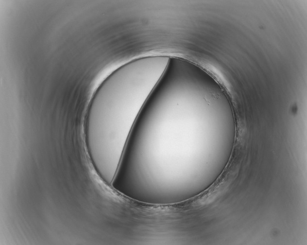 X0000094180952200710260929