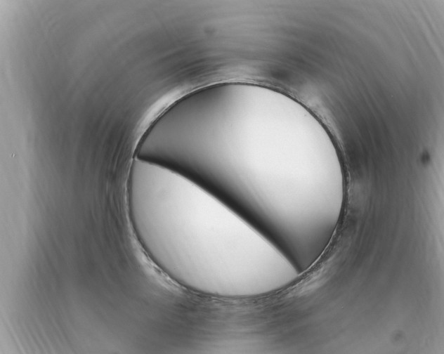 X0000094180954200710260929