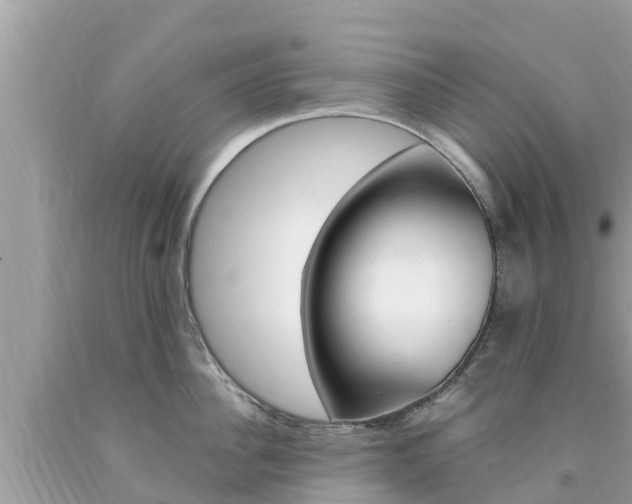 X0000094180956200710260929