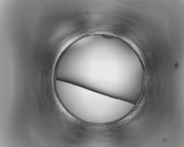 X0000094180957200710260929