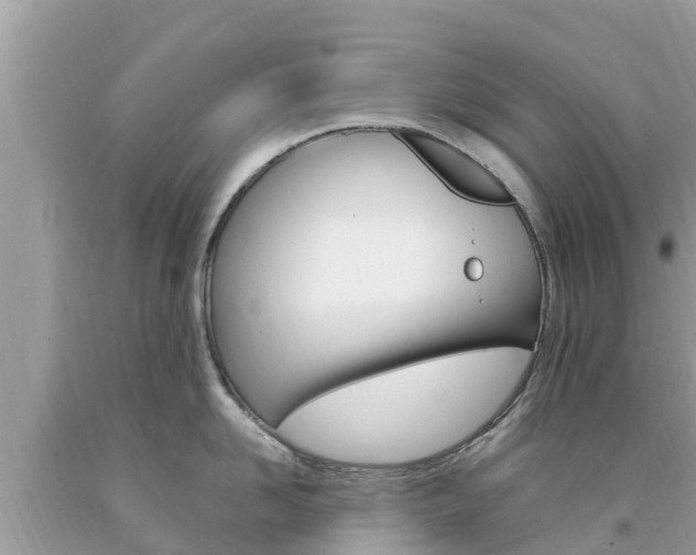 X0000094180958200710260929