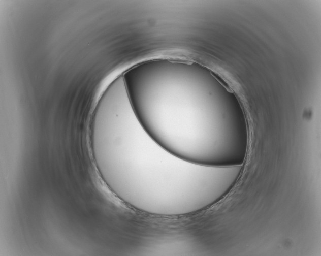 X0000094180960200710260929