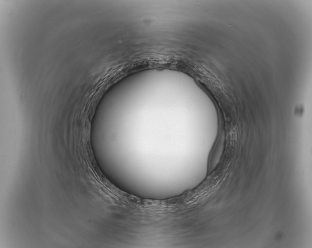 X0000094180961200710260928