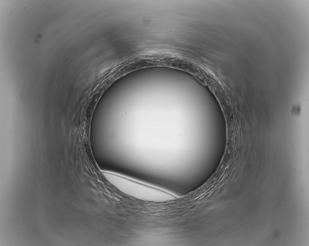X0000094180965200710260928
