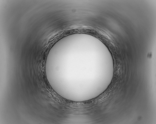 X0000094180966200710260928