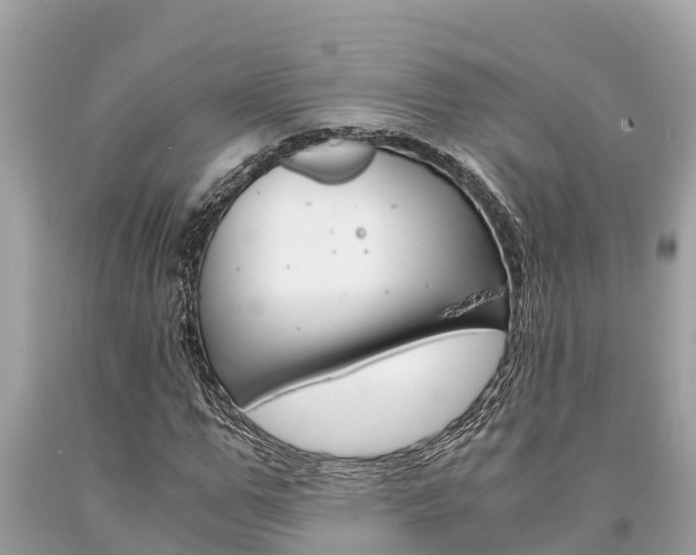 X0000094180967200710260928