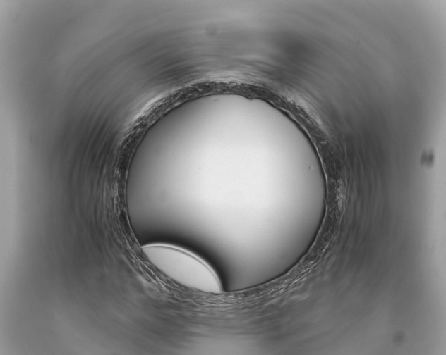 X0000094180968200710260928