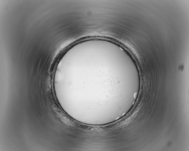 X0000094180974200710260928