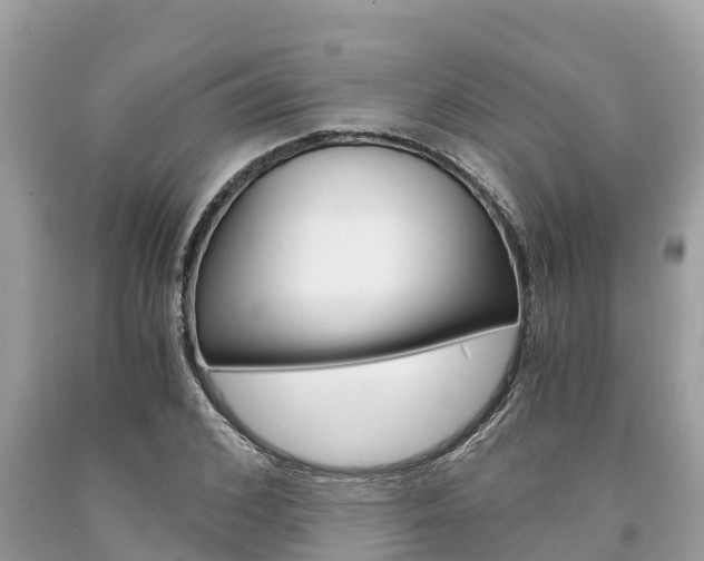 X0000094180976200710260928
