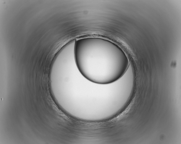 X0000094180977200710260928