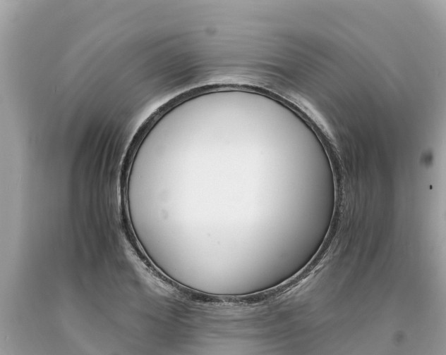 X0000094180980200710260928