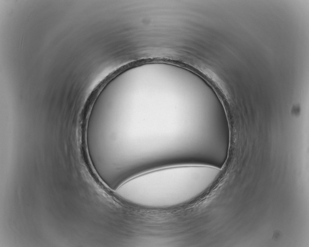 X0000094180983200710260928