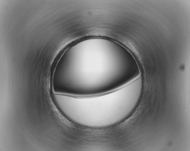 X0000094180984200710260928