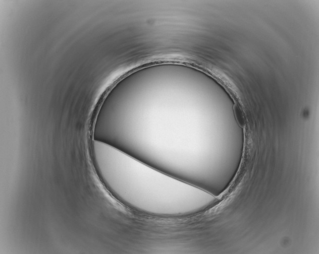 X0000094180989200710260928