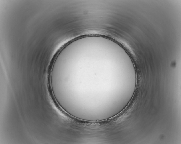 X0000094180991200710260928