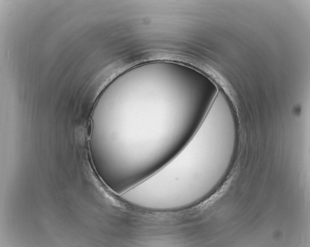 X0000094180993200710260928