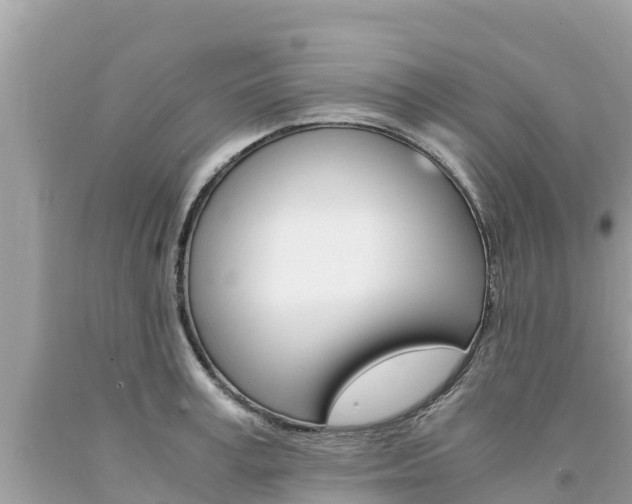 X0000094180995200710260928