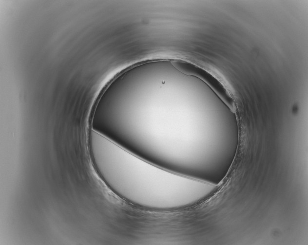X0000094180996200710260928