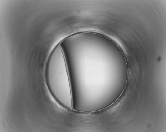X0000094180999200710260927