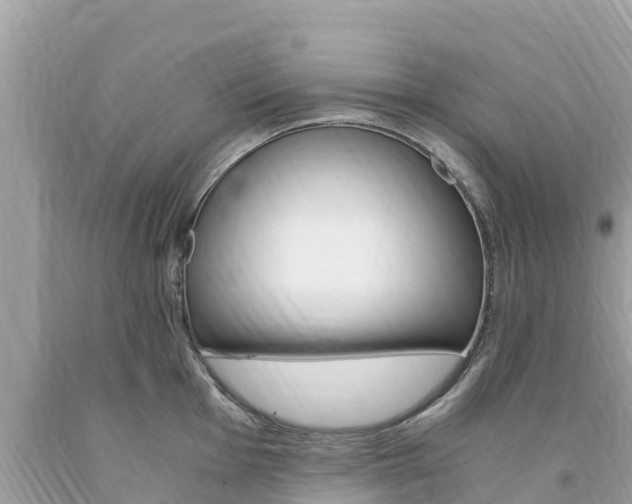 X0000094181001200710260927